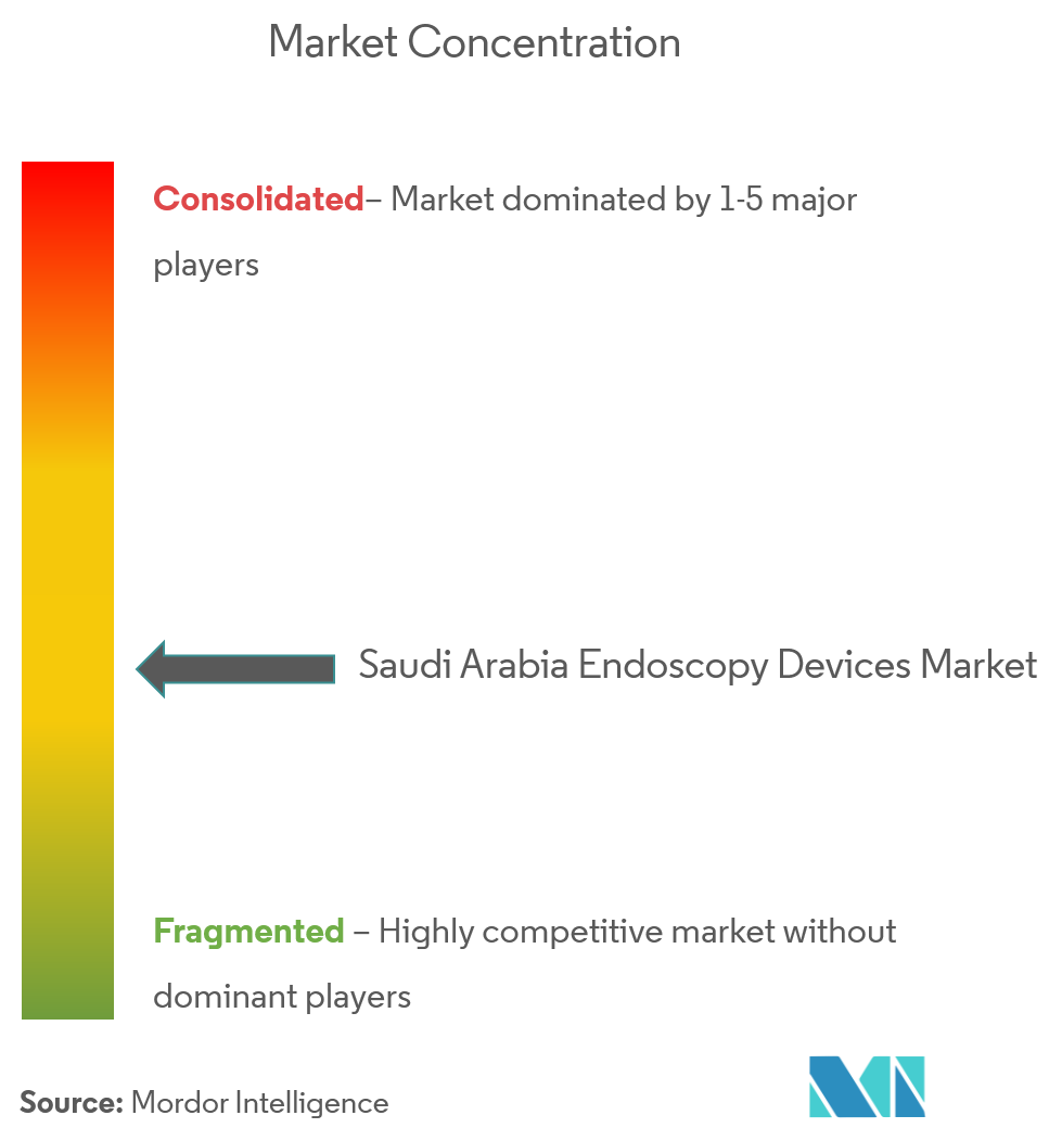 Saudi Arabia Endoscopy Devices Market Concentration